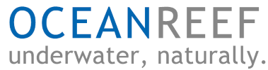 ocean-logo-3